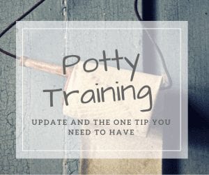 Potty Training - Update - Navigating Baby